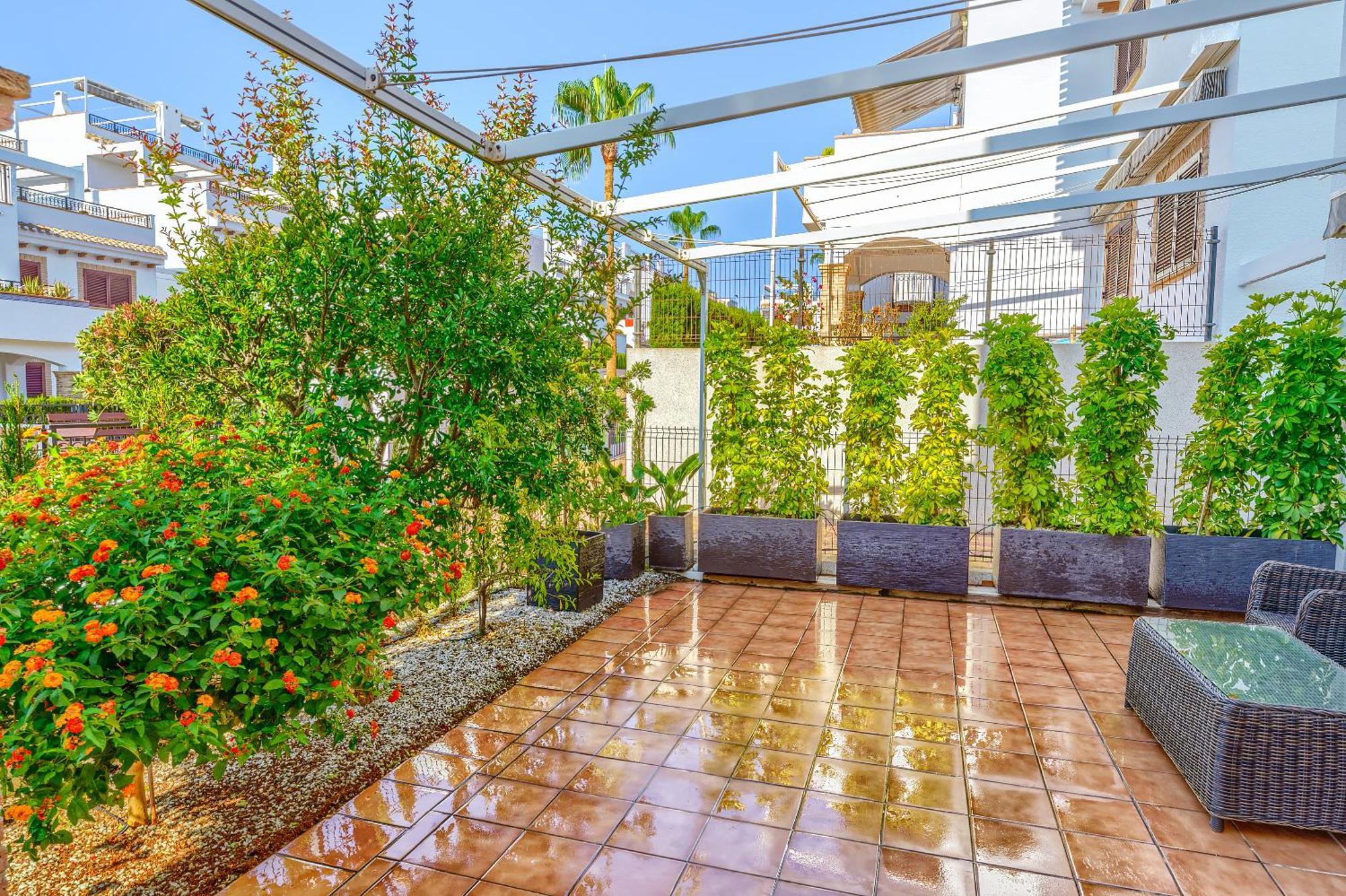 Sunny Apartments In La Mata, Azul Beach 2 Torrevieja Exterior foto